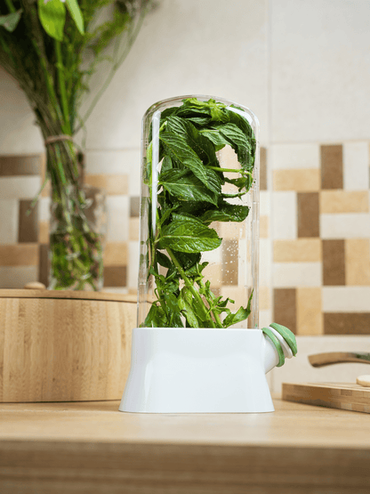 Herb Saver