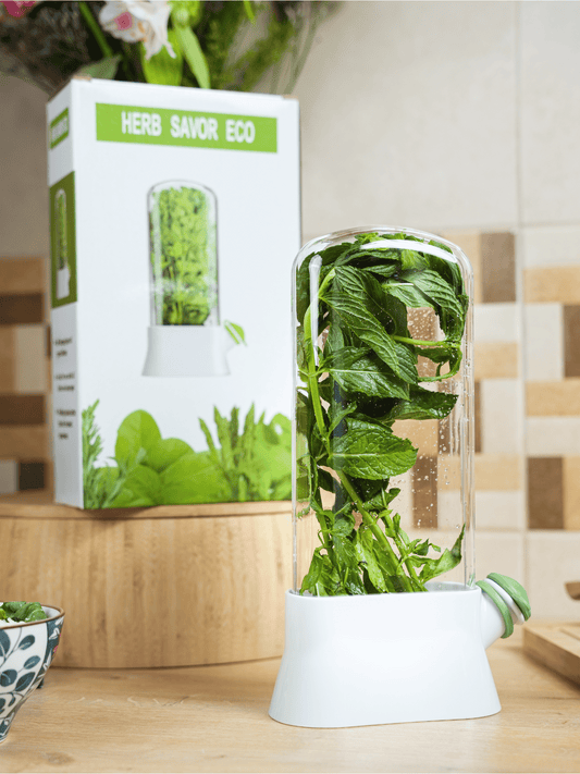 Herb Saver