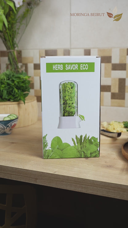 Herb Saver